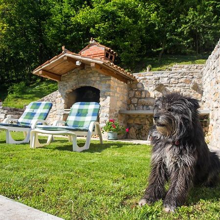 Villa Sirotnjak 로브란 외부 사진